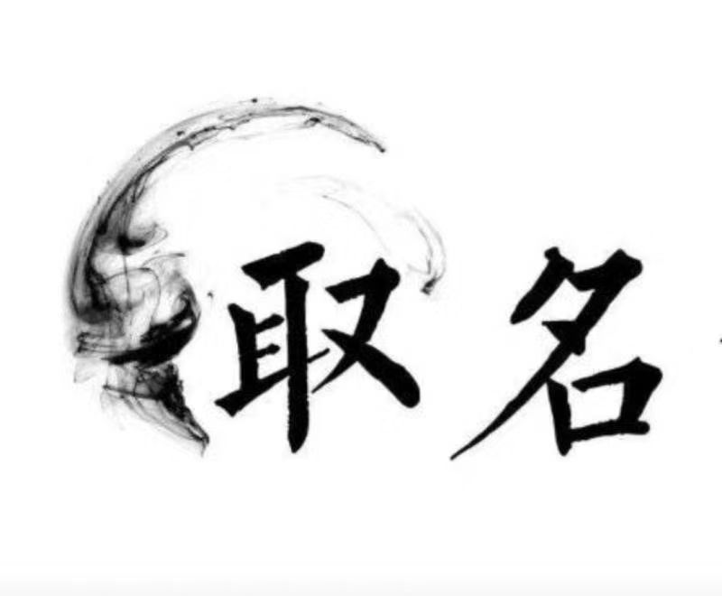  望奎宝宝取名 大师一对一人工起名
