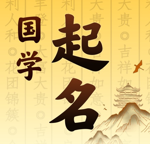 望奎国学起名 人工起名一对一
